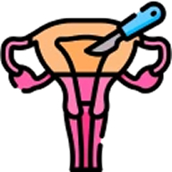 Hysterectomy icon