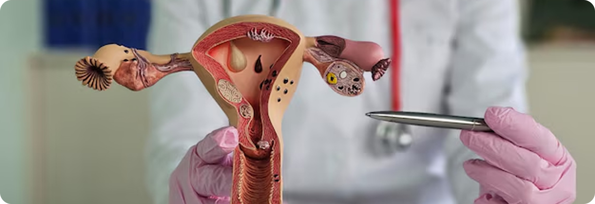 Step 1: Evaluation & imaging