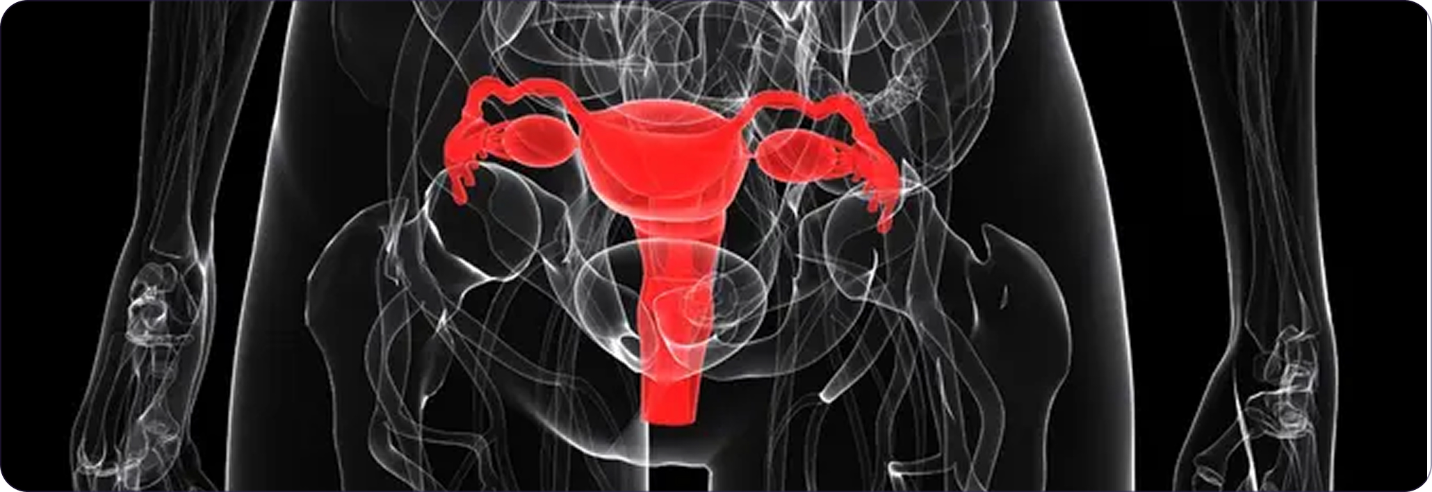 Step 3: Guided contrast and mapping