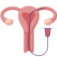 Fallopian Tube Icon